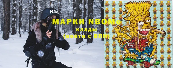 spice Инсар