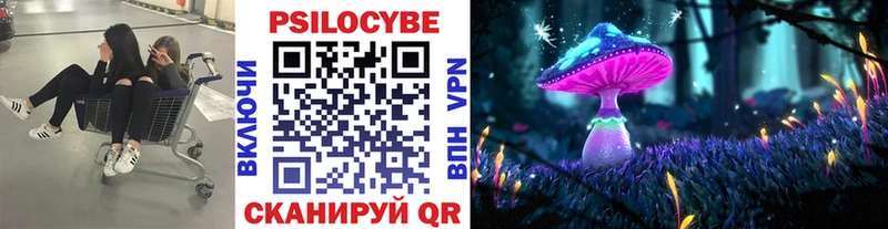 Галлюциногенные грибы Psilocybe  Ленинск 